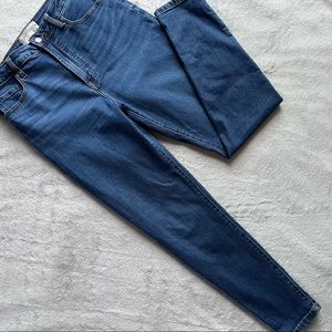 Everlane The Curvy High-Rise Stretch Denim Skinny Jean Mid-Blue Wash Sz 29